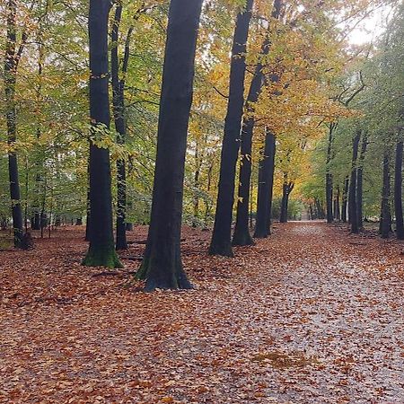 Chalet Wanama. Gelegen Op Het Vakantiepark Het Lierderholt Op De Veluwe. Villa Beekbergen Dış mekan fotoğraf