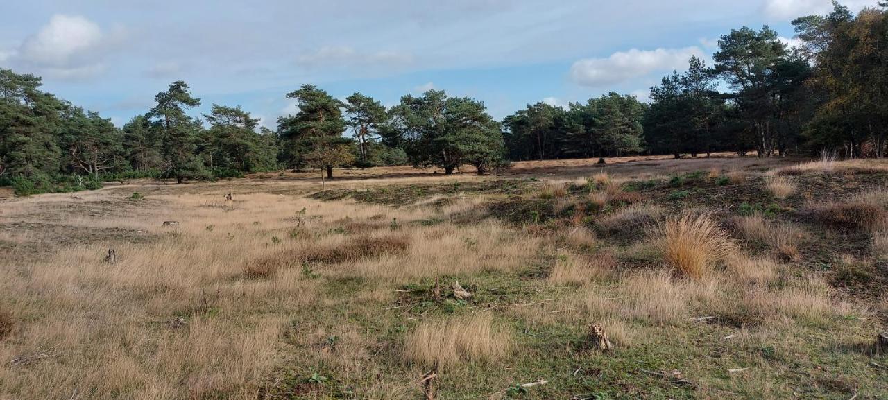 Chalet Wanama. Gelegen Op Het Vakantiepark Het Lierderholt Op De Veluwe. Villa Beekbergen Dış mekan fotoğraf